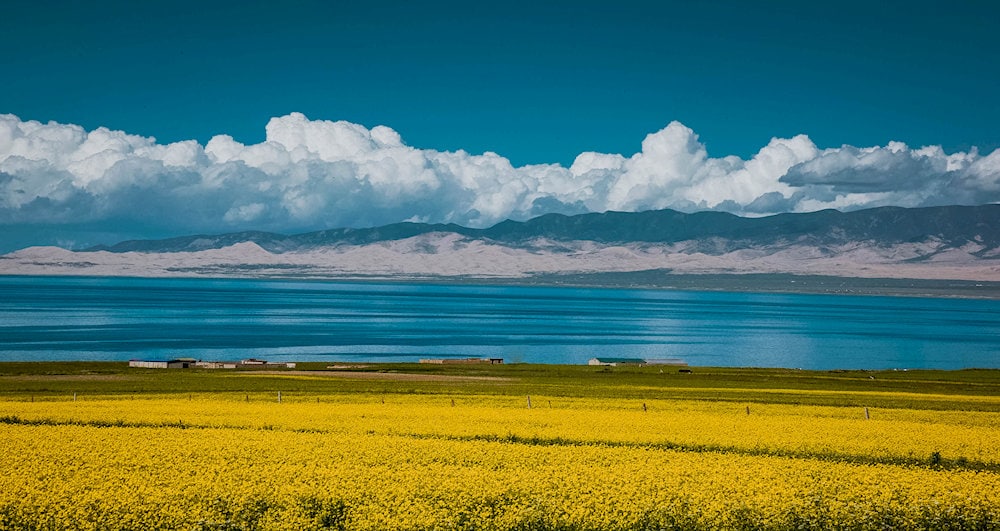 Qinghai Lake, the largest saltwater lake in China, captivates with its turquoise waters and vast grasslands